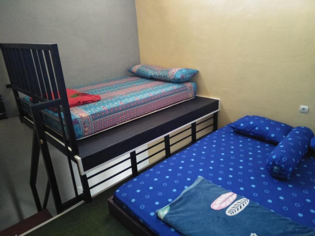 Titan'S Greenhouse Banyuwangi  Habitación foto